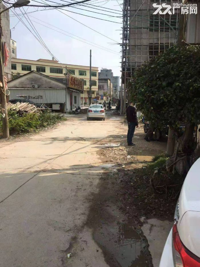 出租绿榕西路100米处楼房3千平方 5层，大路边！-图6