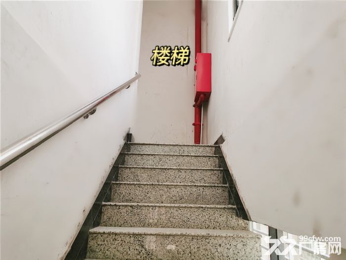 整栋出租，位置优越，设备齐全-图8